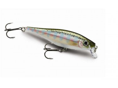 Ψαράκια Rapala BX MINNOW