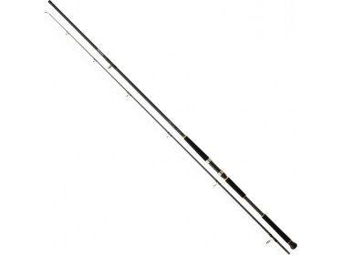 Καλάμι Daiwa LEGALIS SHORE JIGGING 