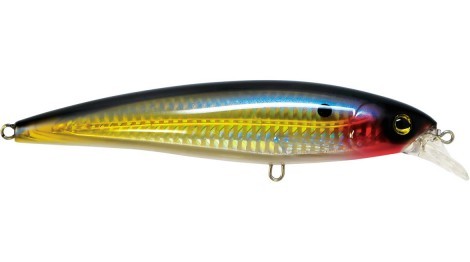 Amber Jack Max 140 Farbe 56 Pk Trabucco Rapture Künstlich Köder Simil